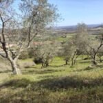 Foto del perfil de Daniel Henriques Robles